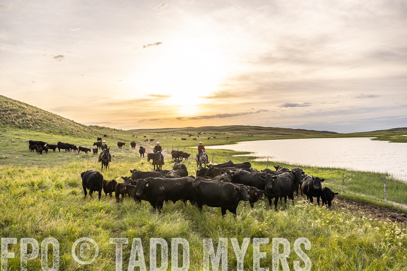 TMyers_PP_VintonRanch_Nebraska_June2024-524882