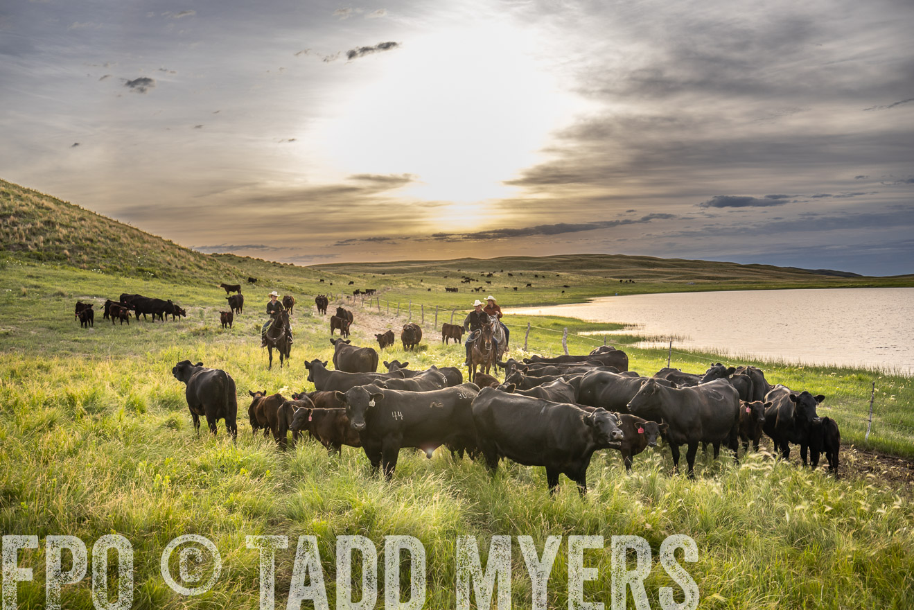 TMyers_PP_VintonRanch_Nebraska_June2024-524887