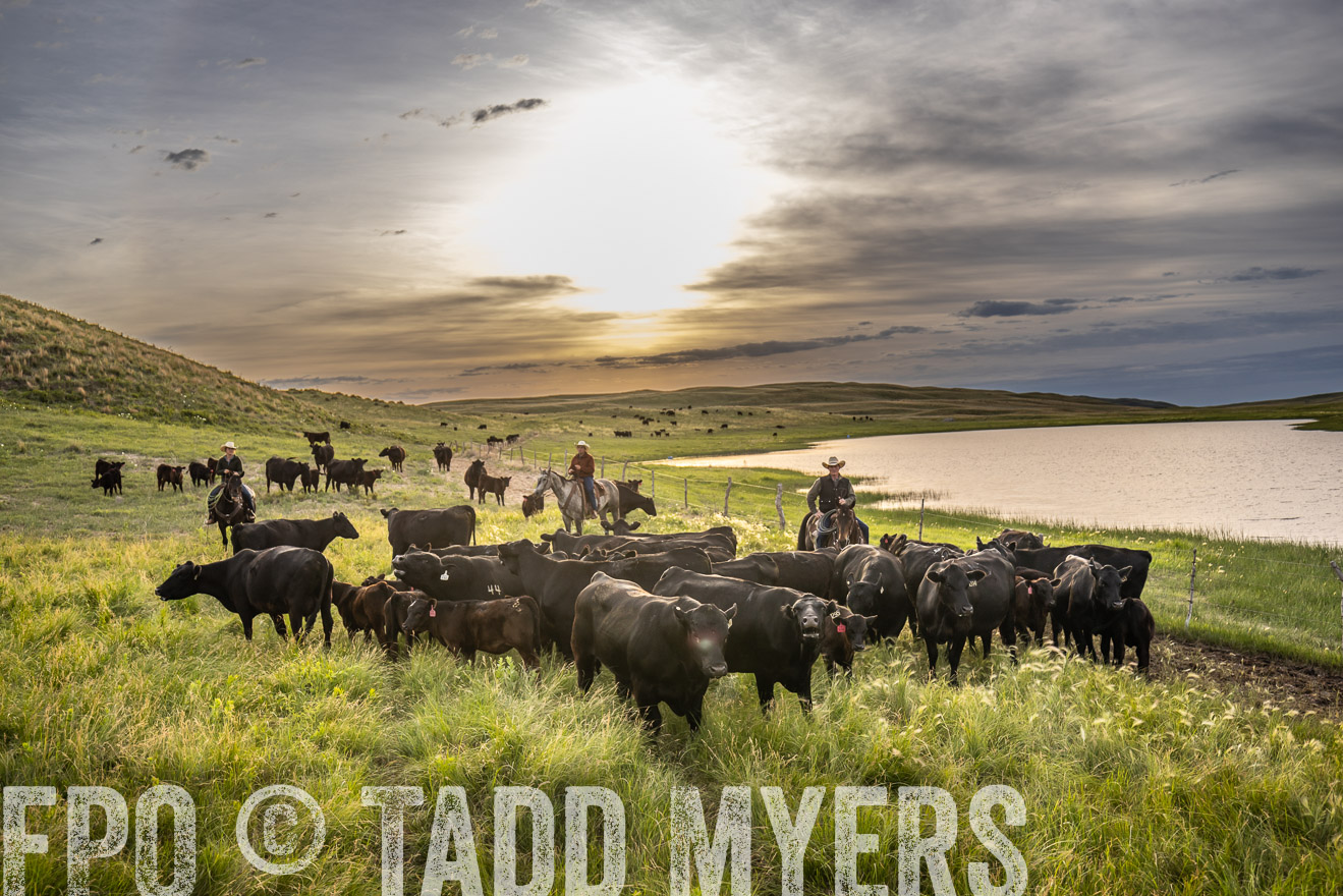 TMyers_PP_VintonRanch_Nebraska_June2024-524898