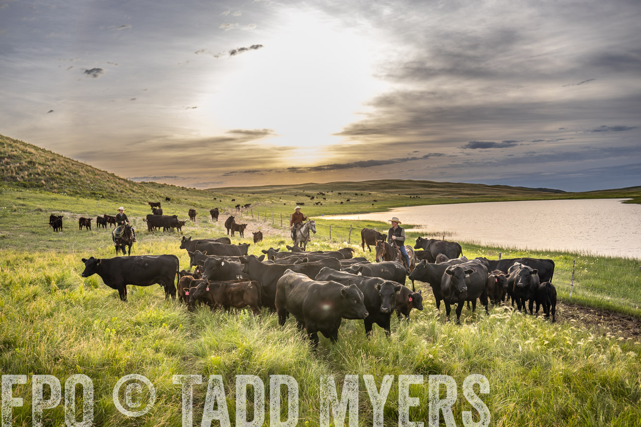 TMyers_PP_VintonRanch_Nebraska_June2024-524902