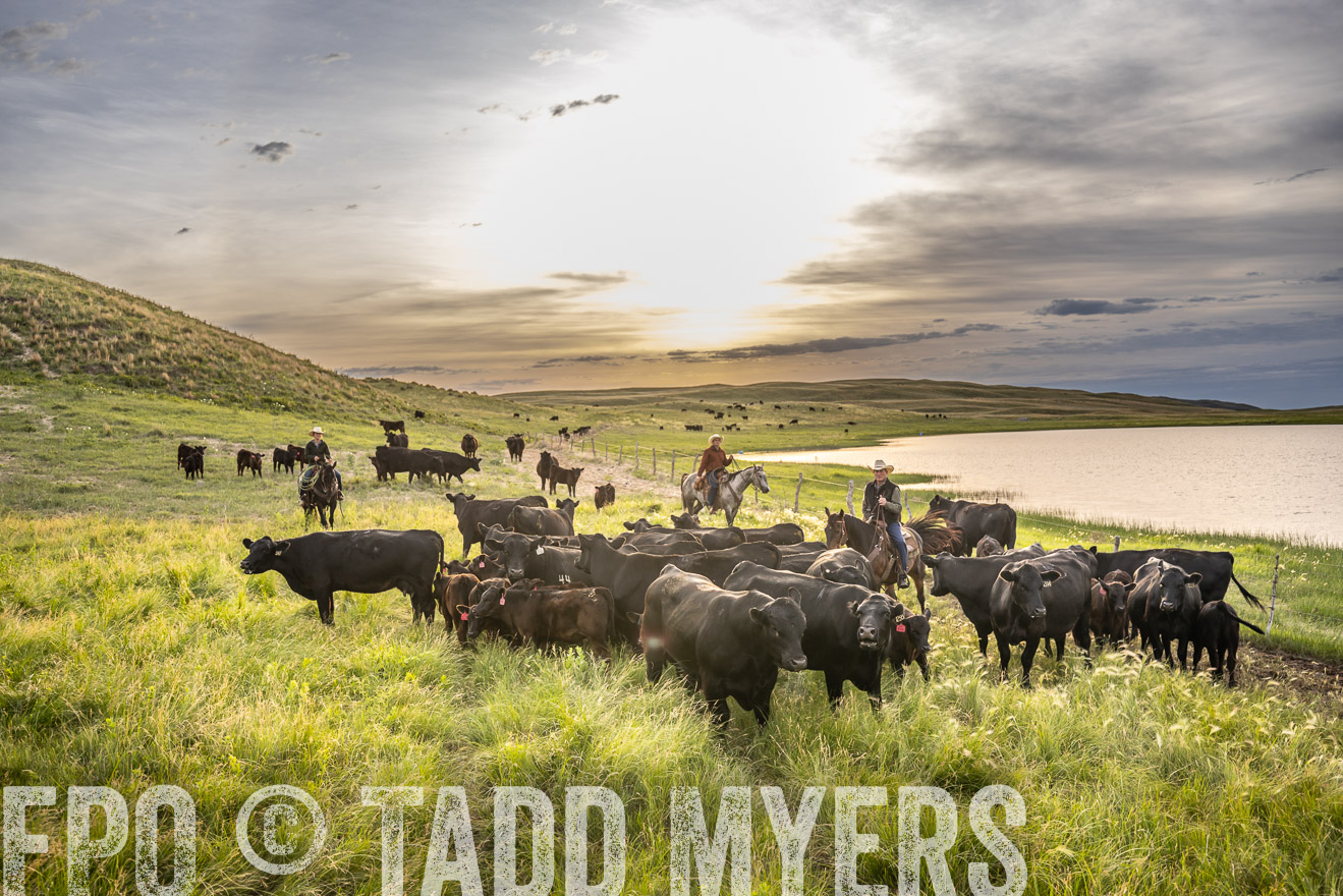 TMyers_PP_VintonRanch_Nebraska_June2024-524905