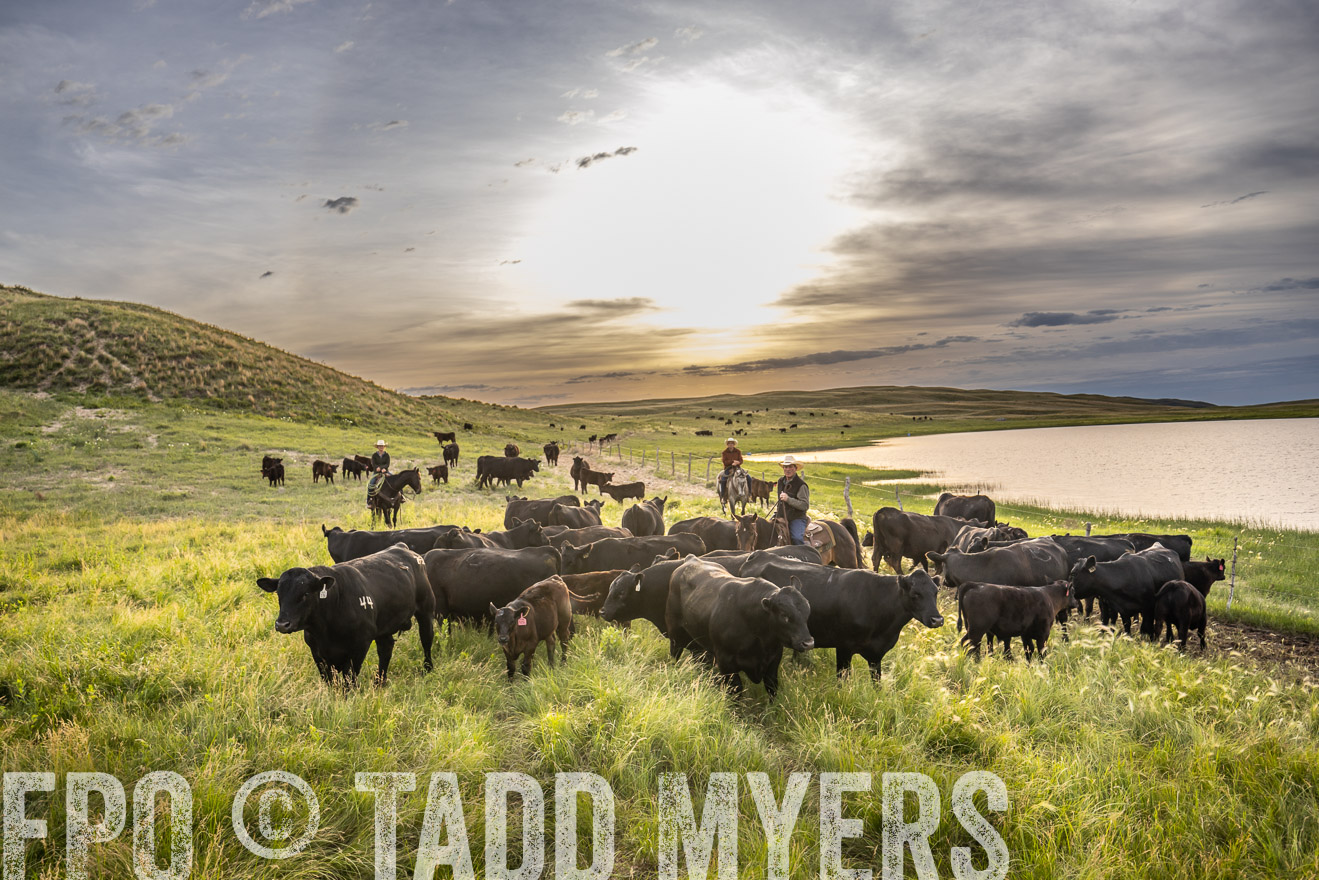TMyers_PP_VintonRanch_Nebraska_June2024-524913