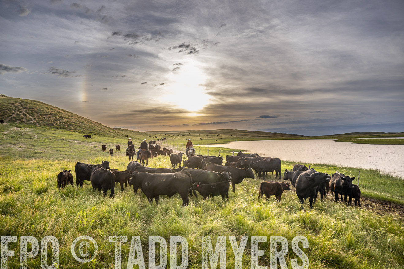 TMyers_PP_VintonRanch_Nebraska_June2024-524970