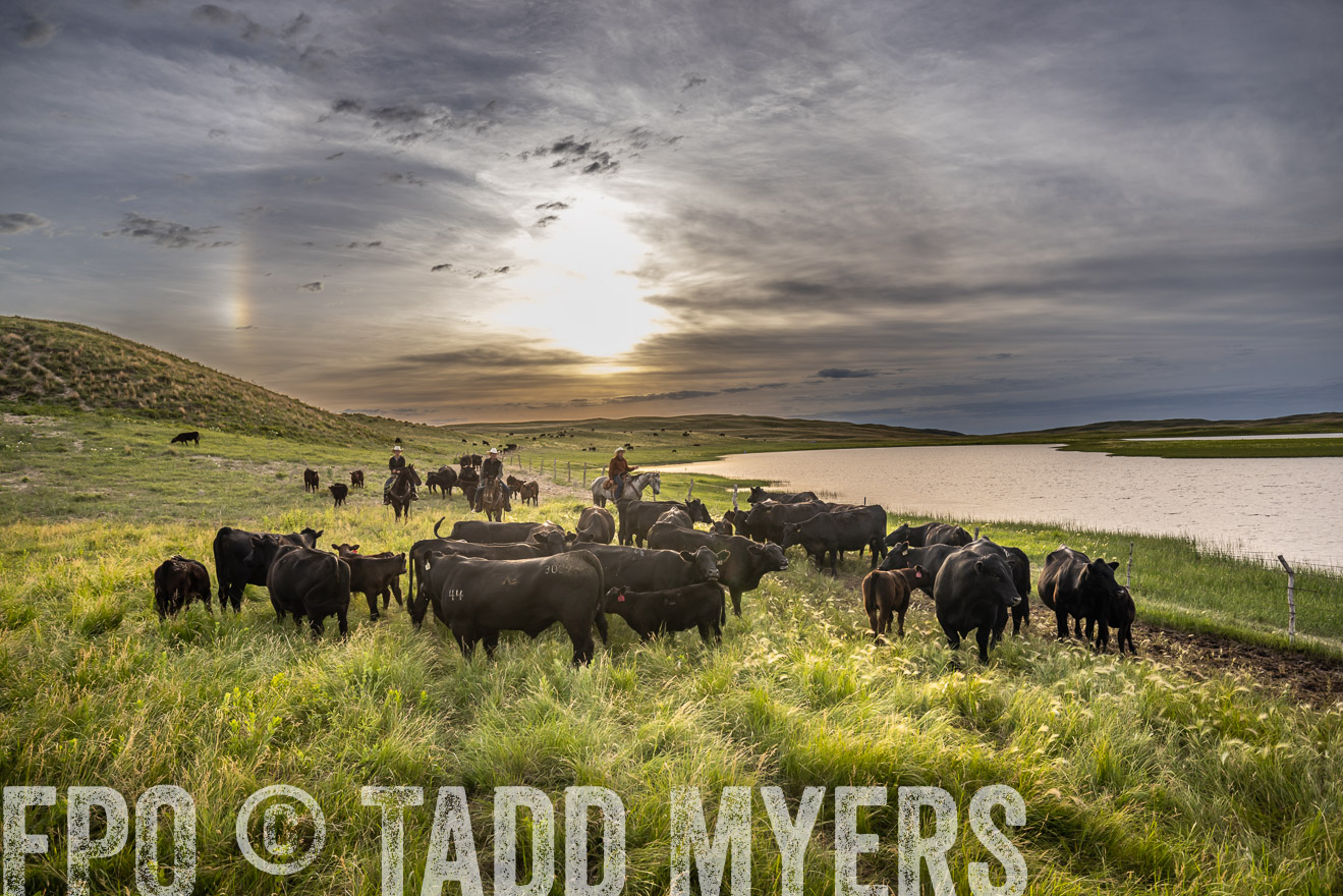 TMyers_PP_VintonRanch_Nebraska_June2024-524987