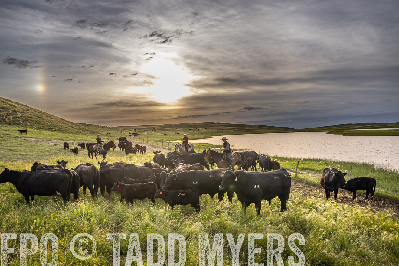 TMyers_PP_VintonRanch_Nebraska_June2024-525010
