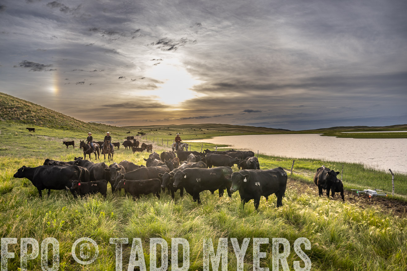 TMyers_PP_VintonRanch_Nebraska_June2024-525030