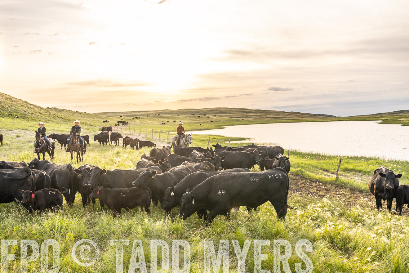 TMyers_PP_VintonRanch_Nebraska_June2024-525045