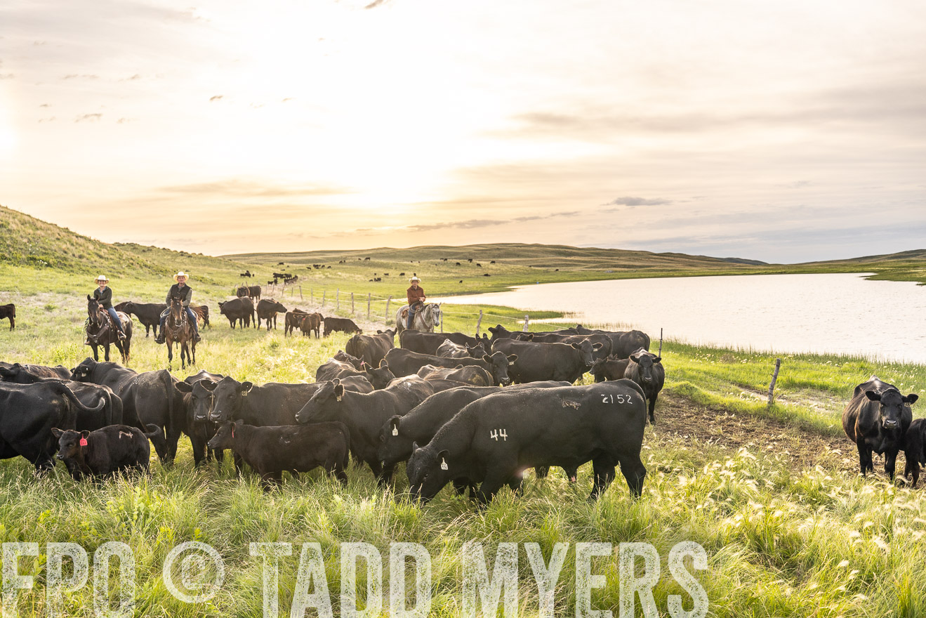 TMyers_PP_VintonRanch_Nebraska_June2024-525048