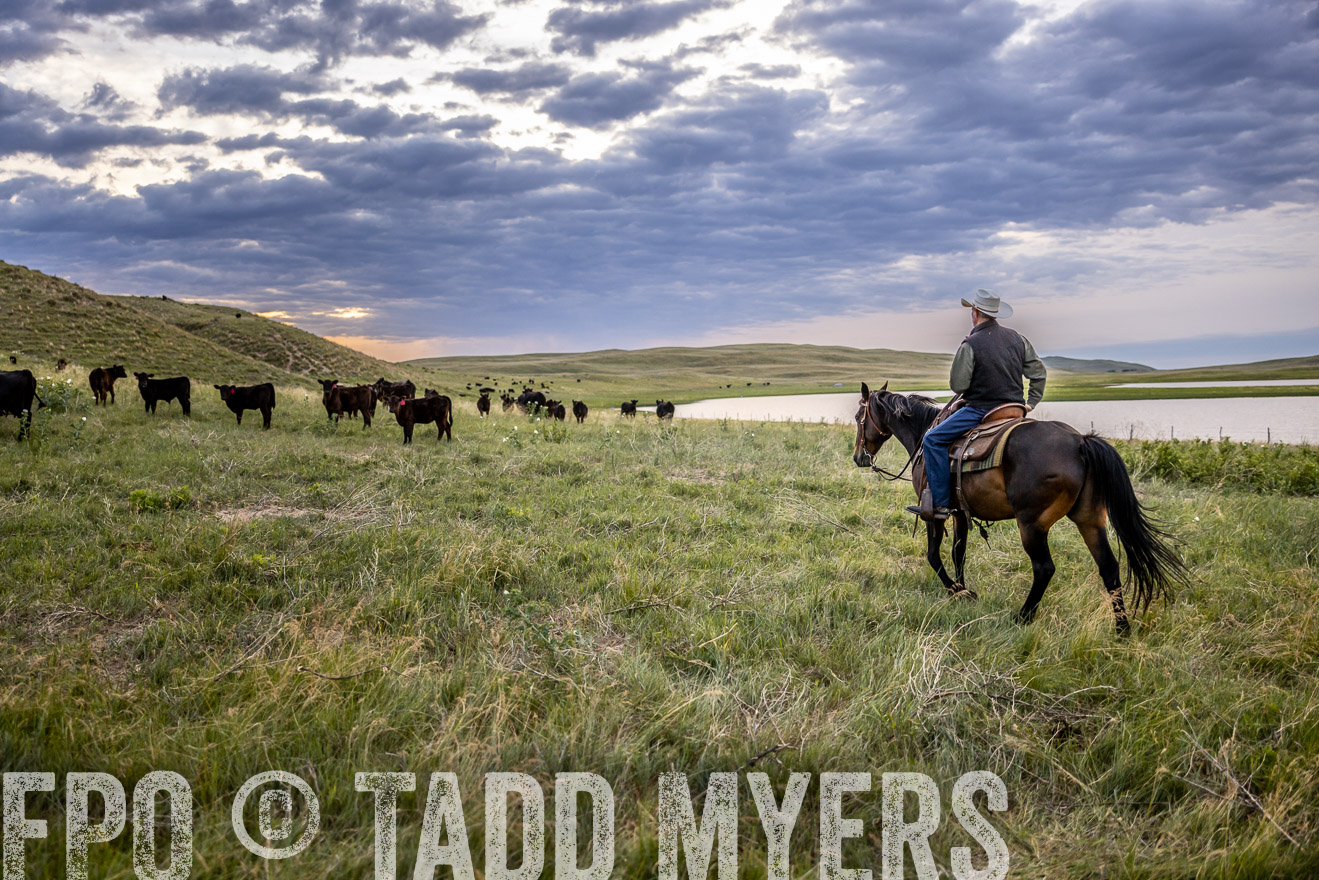 TMyers_PP_VintonRanch_Nebraska_June2024-517399