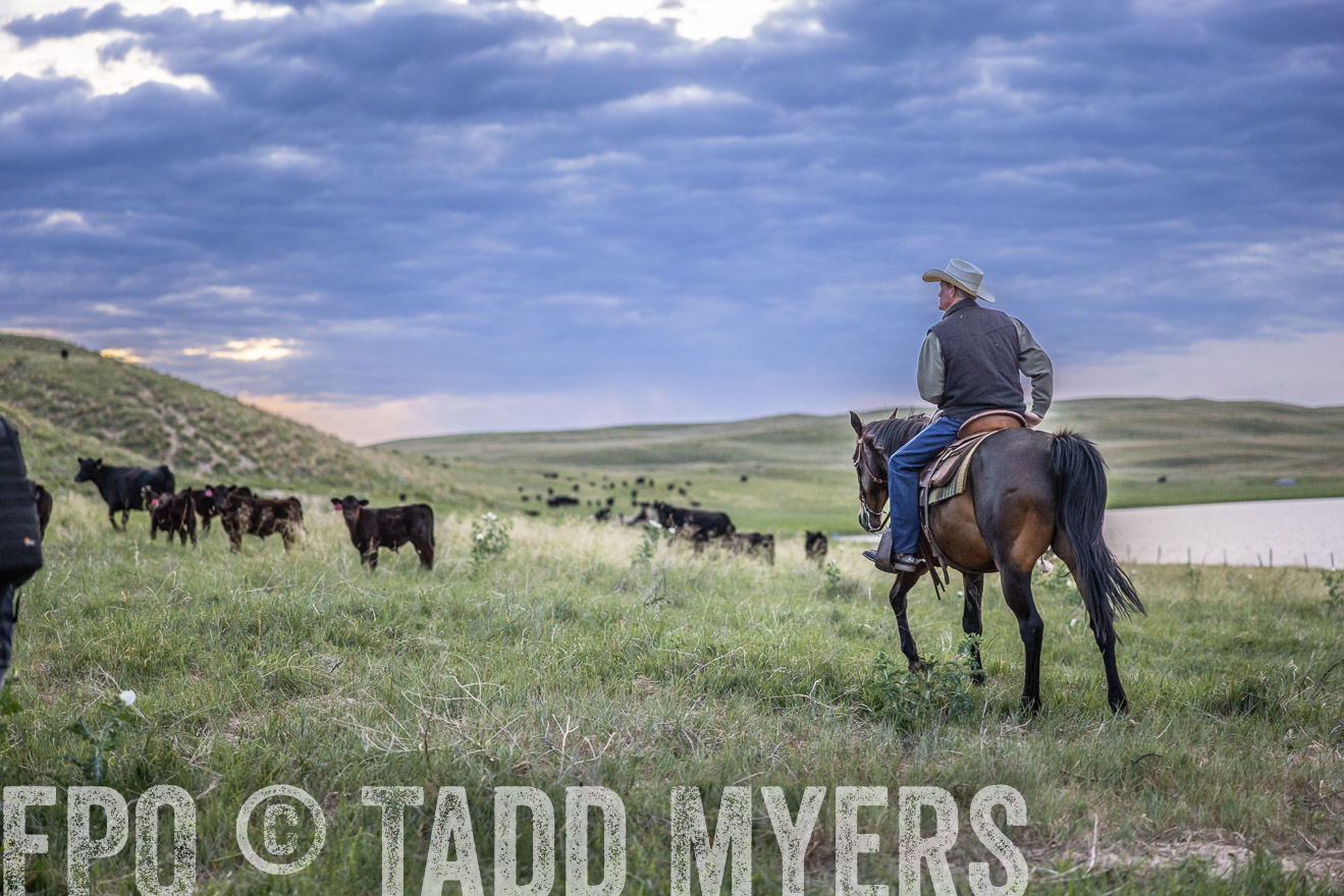 TMyers_PP_VintonRanch_Nebraska_June2024-517410