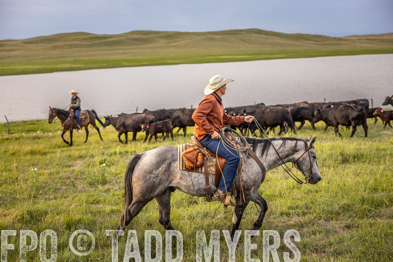 TMyers_PP_VintonRanch_Nebraska_June2024-517460