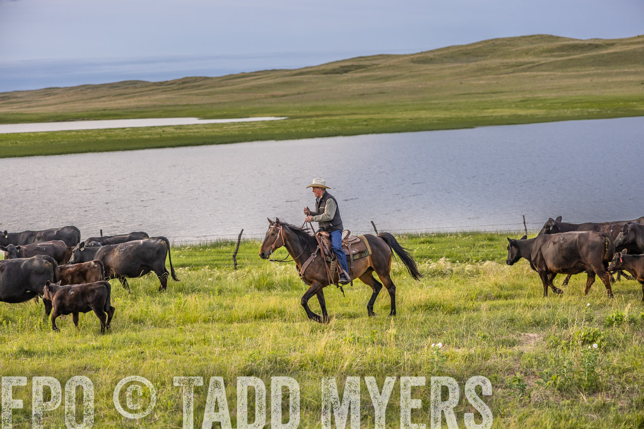 TMyers_PP_VintonRanch_Nebraska_June2024-517462