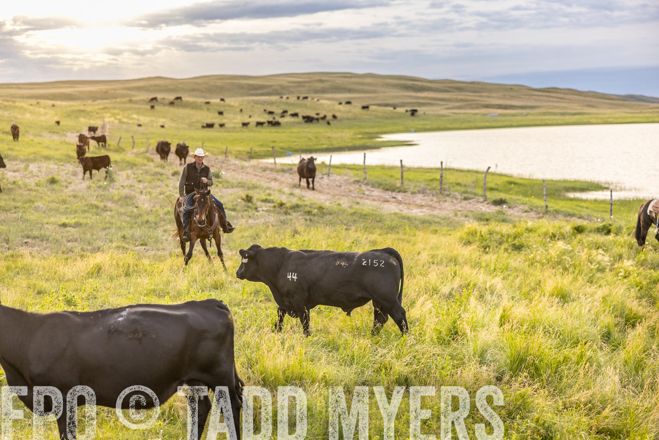 TMyers_PP_VintonRanch_Nebraska_June2024-517522