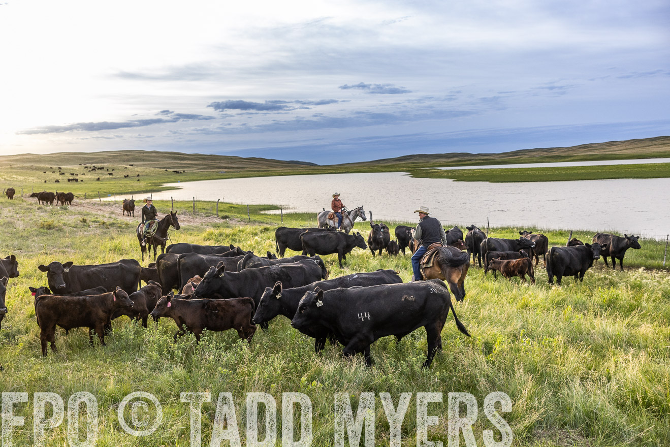 TMyers_PP_VintonRanch_Nebraska_June2024-517645