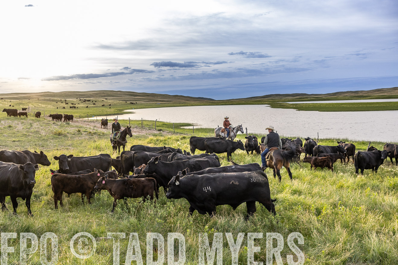 TMyers_PP_VintonRanch_Nebraska_June2024-517648