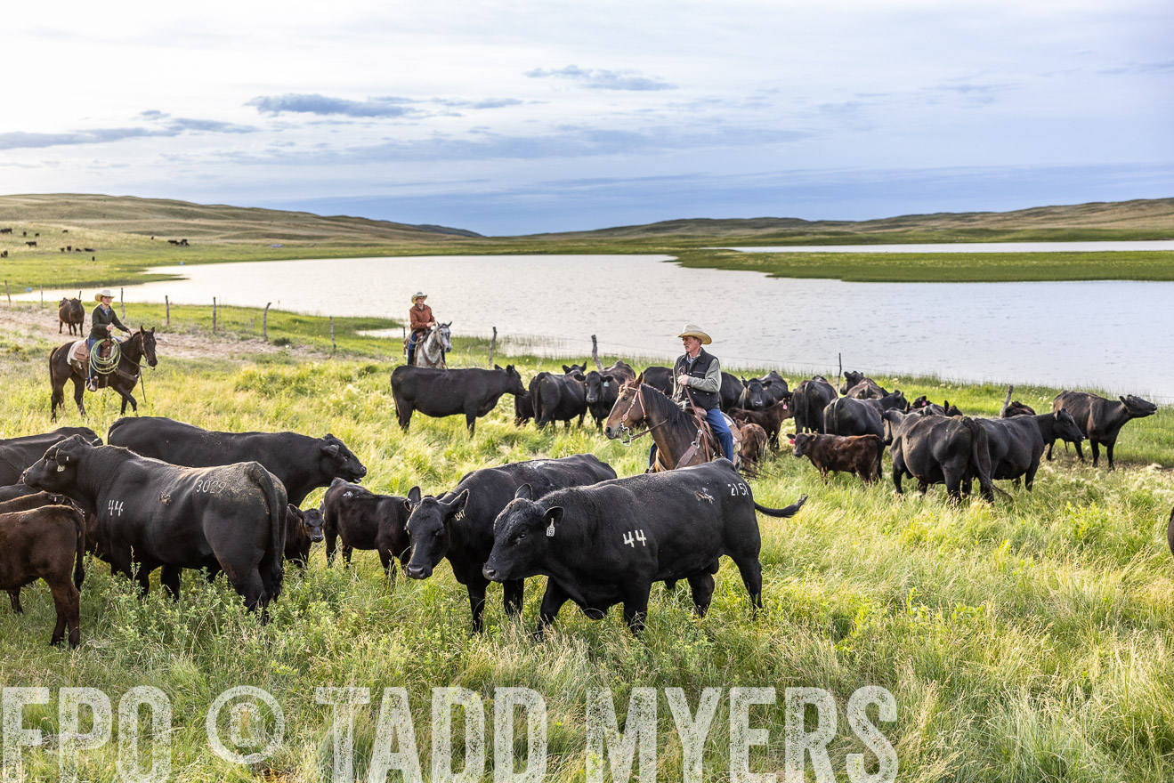 TMyers_PP_VintonRanch_Nebraska_June2024-517675