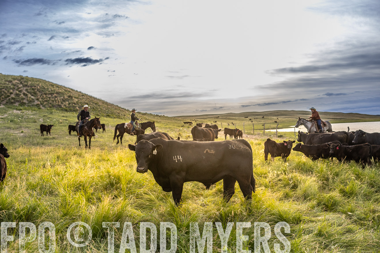 TMyers_PP_VintonRanch_Nebraska_June2024-517926