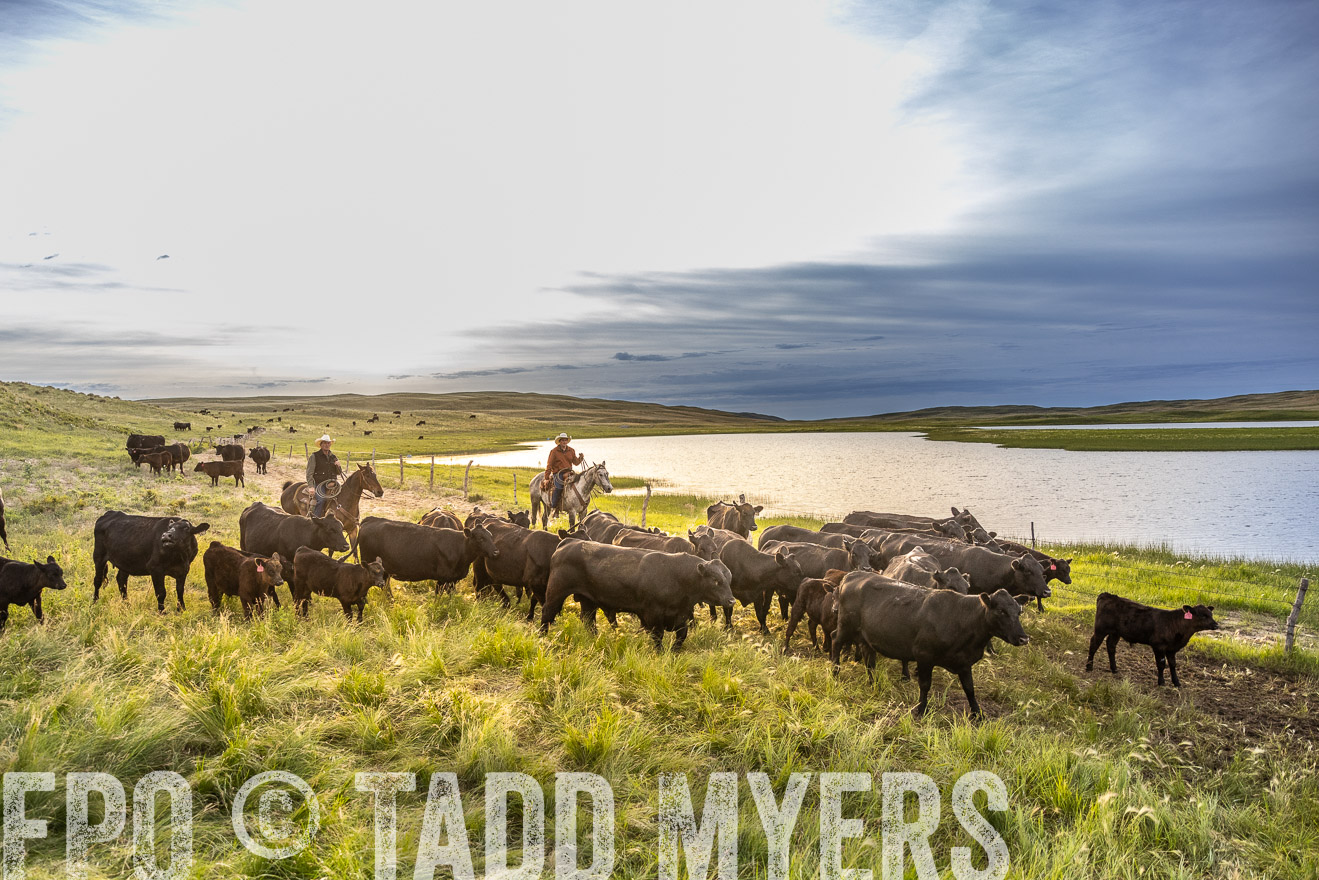 TMyers_PP_VintonRanch_Nebraska_June2024-518023