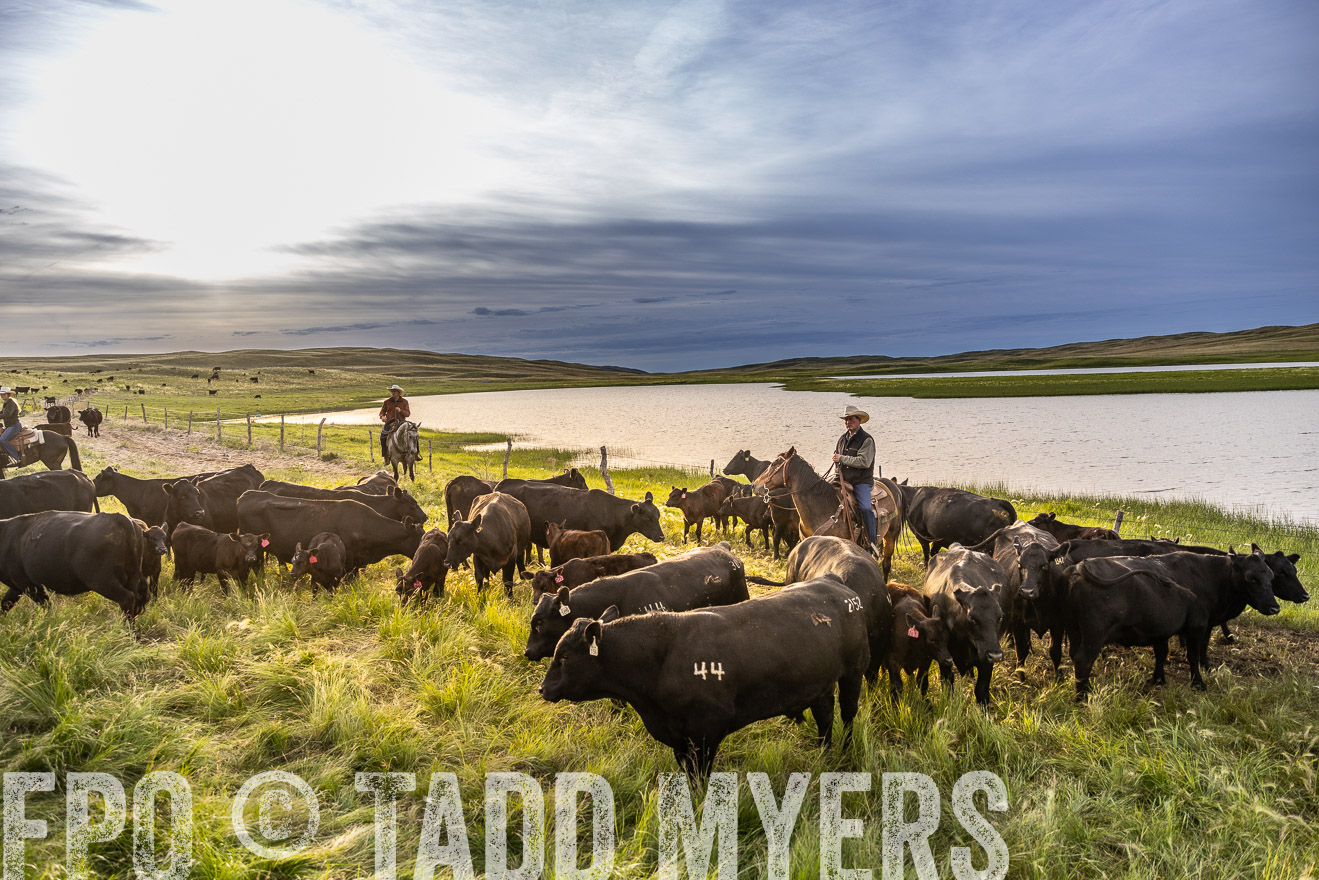 TMyers_PP_VintonRanch_Nebraska_June2024-518037