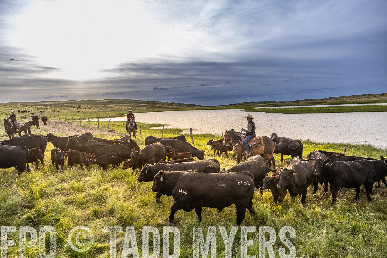 TMyers_PP_VintonRanch_Nebraska_June2024-518040