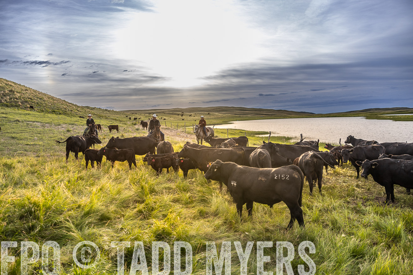 TMyers_PP_VintonRanch_Nebraska_June2024-518061