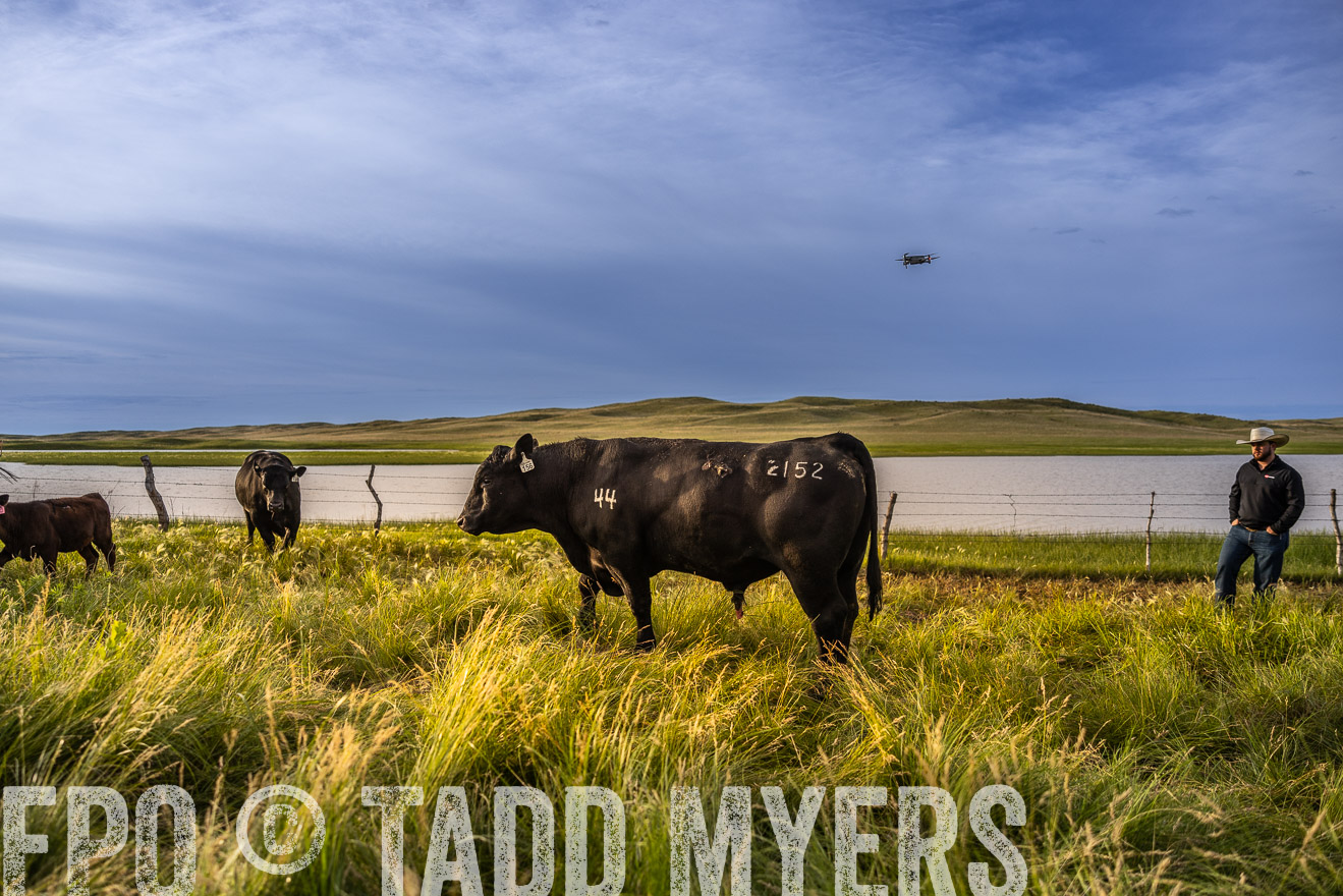 TMyers_PP_VintonRanch_Nebraska_June2024-518172