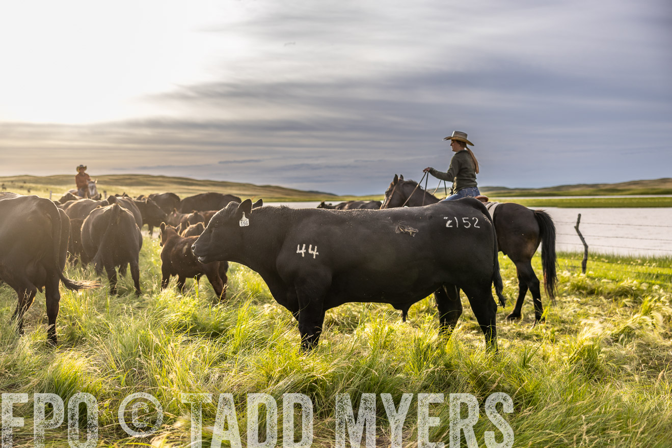 TMyers_PP_VintonRanch_Nebraska_June2024-518489