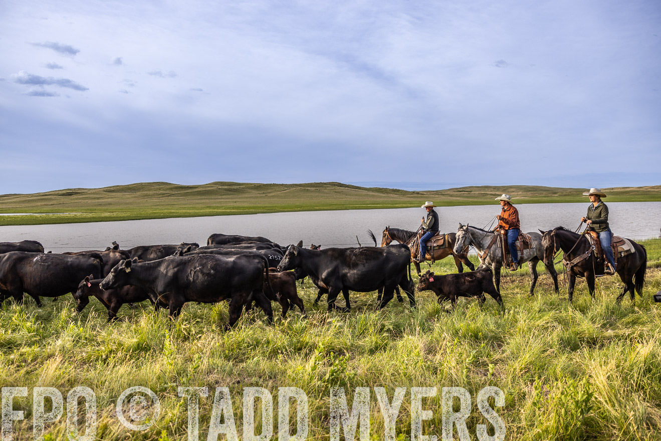 TMyers_PP_VintonRanch_Nebraska_June2024-518902
