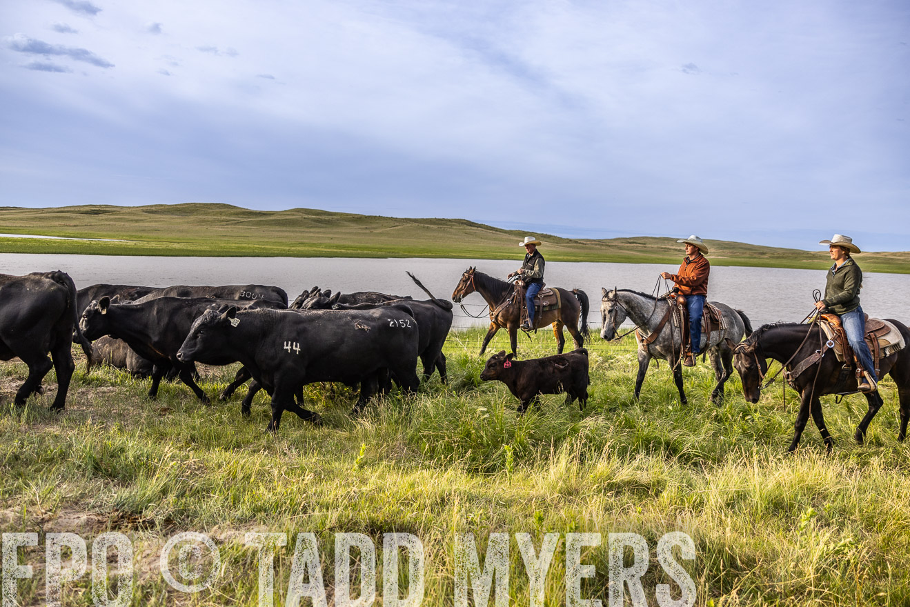 TMyers_PP_VintonRanch_Nebraska_June2024-518911
