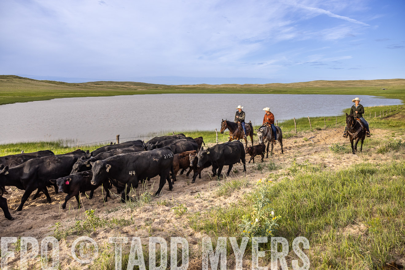TMyers_PP_VintonRanch_Nebraska_June2024-518928