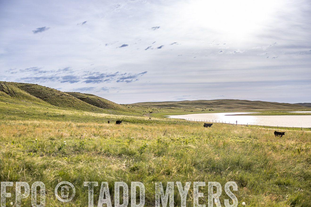 TMyers_PP_VintonRanch_Nebraska_June2024-519082