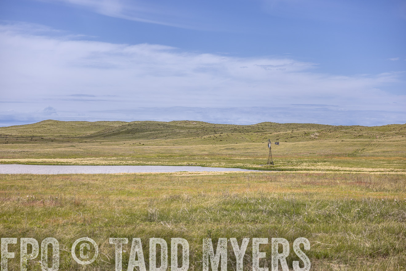 TMyers_PP_VintonRanch_Nebraska_June2024-519640