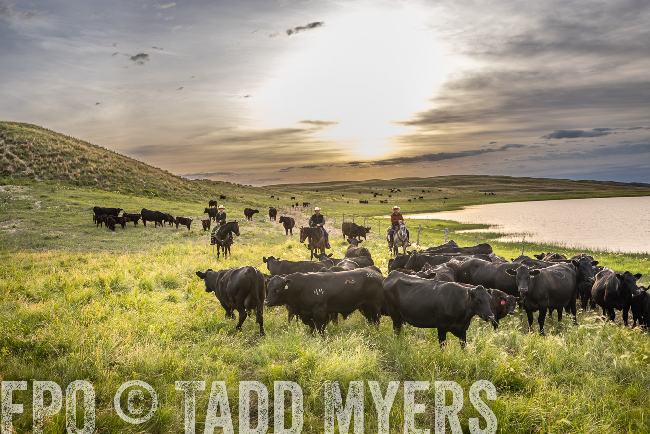 TMyers_PP_VintonRanch_Nebraska_June2024-524874