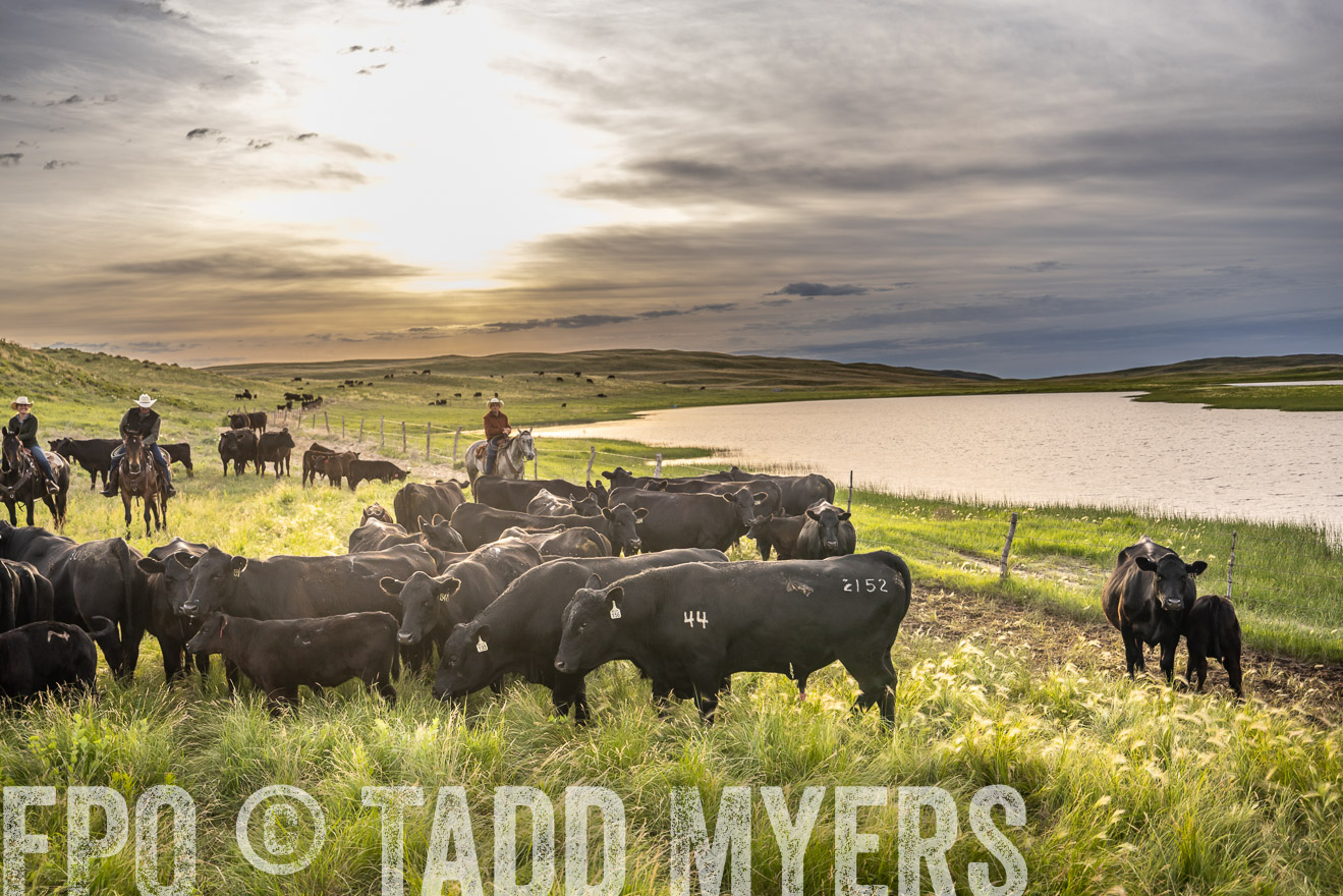 TMyers_PP_VintonRanch_Nebraska_June2024-525041