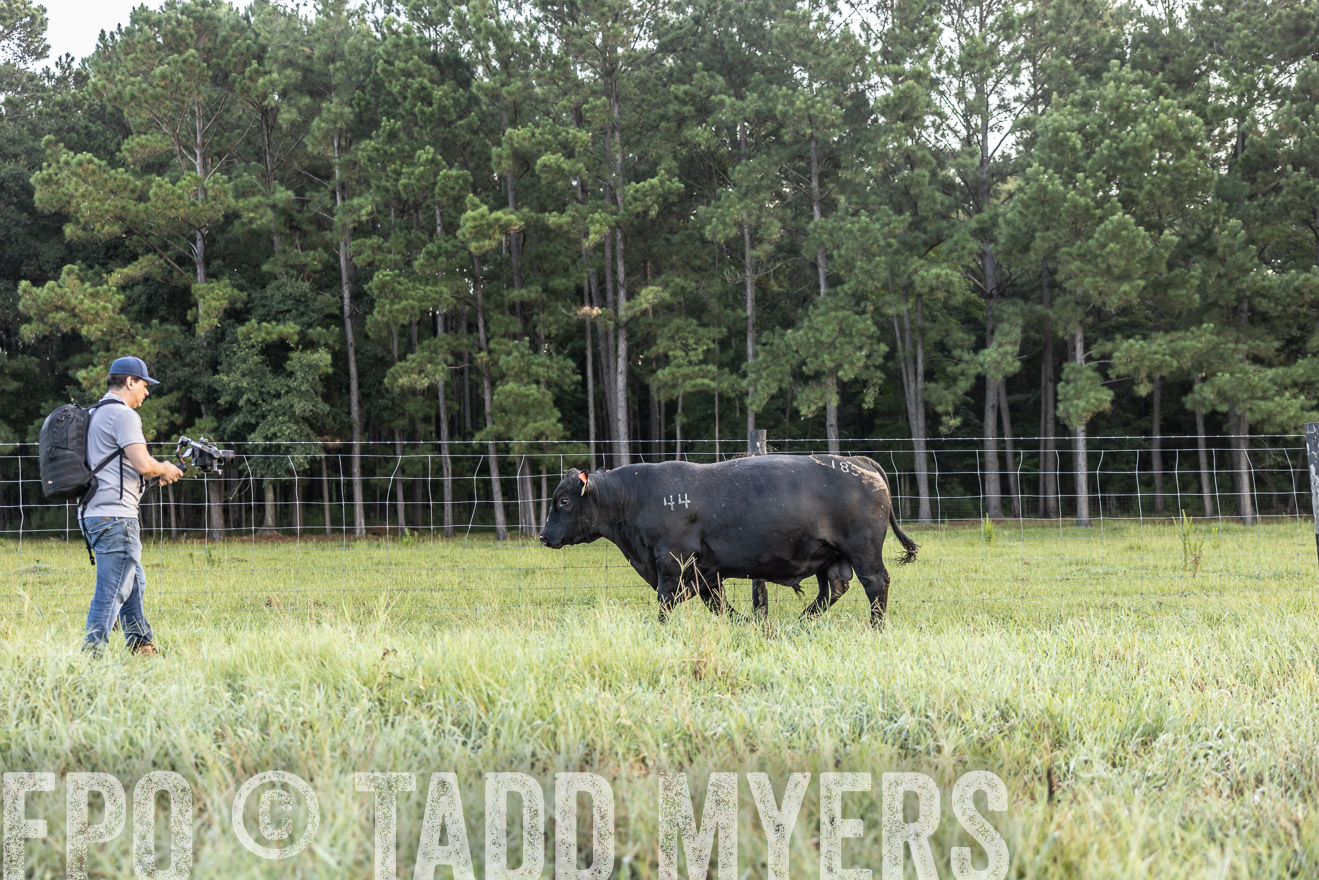 TMyers_PP_ChessieCreekFarm_Walterboro_July2024-510298