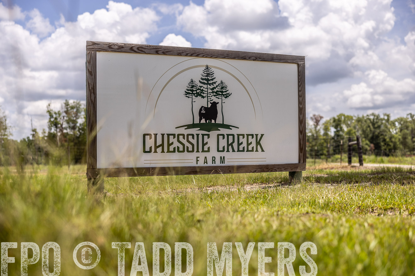 TMyers_PP_ChessieCreekFarm_Walterboro_July2024-513605