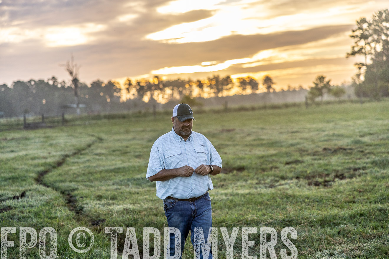 TMyers_PP_ChessieCreekFarm_Walterboro_July2024-519858