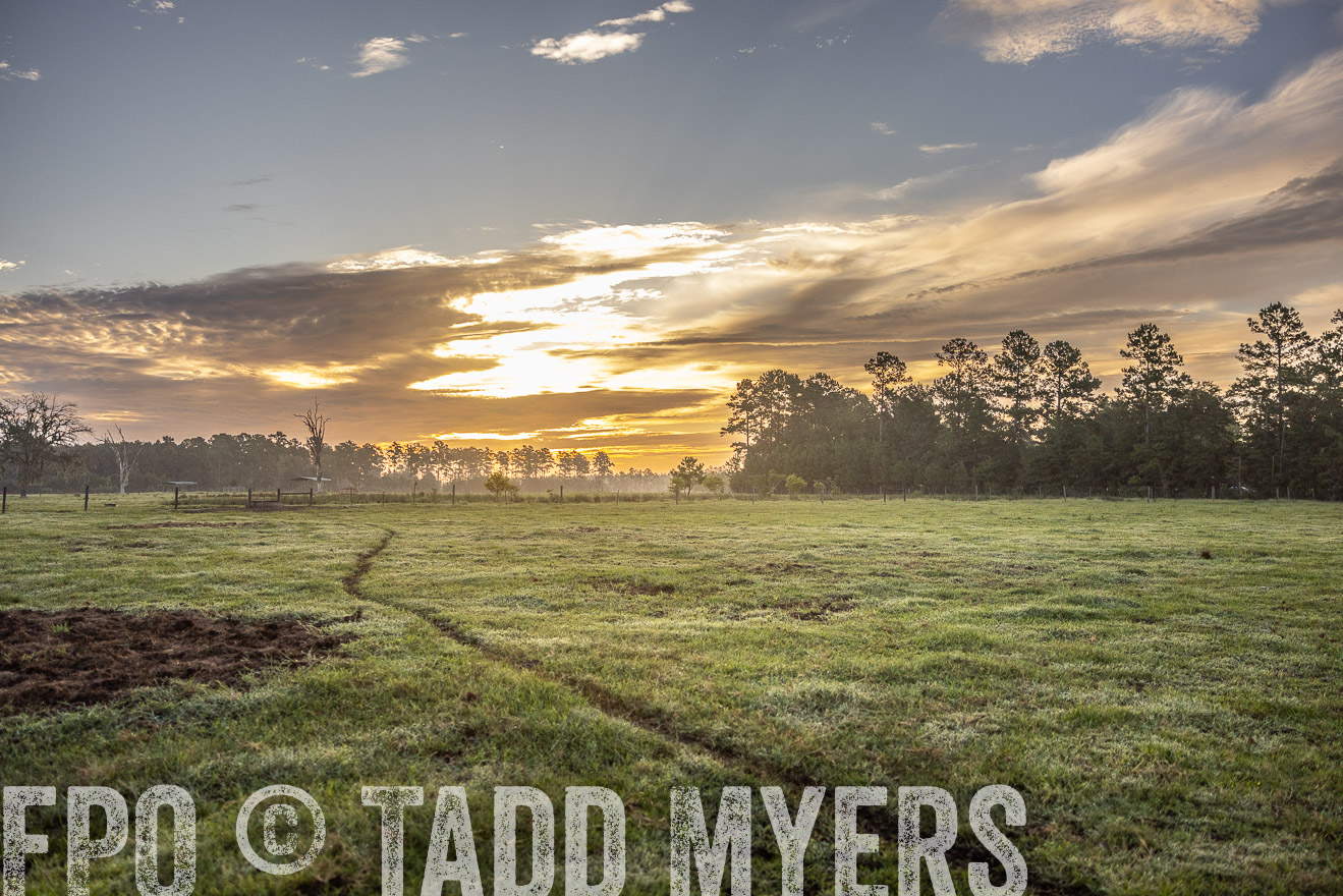 TMyers_PP_ChessieCreekFarm_Walterboro_July2024-519999