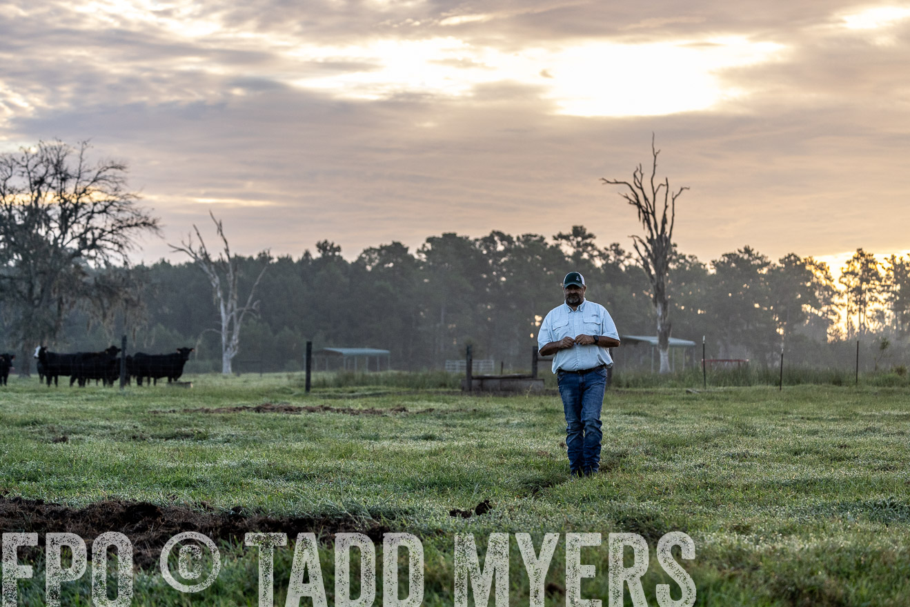 TMyers_PP_ChessieCreekFarm_Walterboro_July2024-525637
