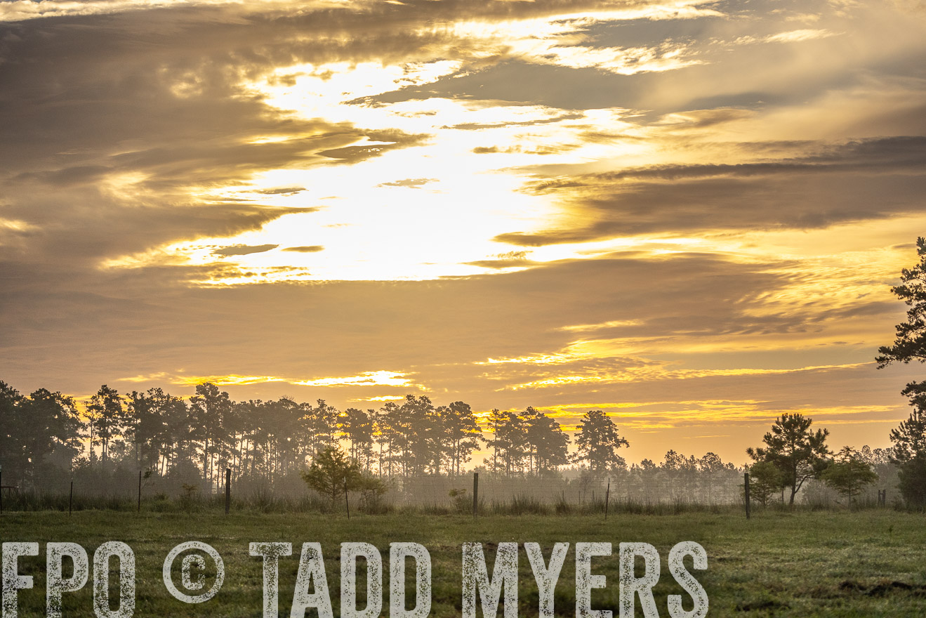 TMyers_PP_ChessieCreekFarm_Walterboro_July2024-525650