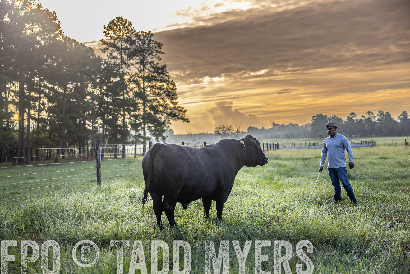 TMyers_PP_ChessieCreekFarm_Walterboro_July2024-511644