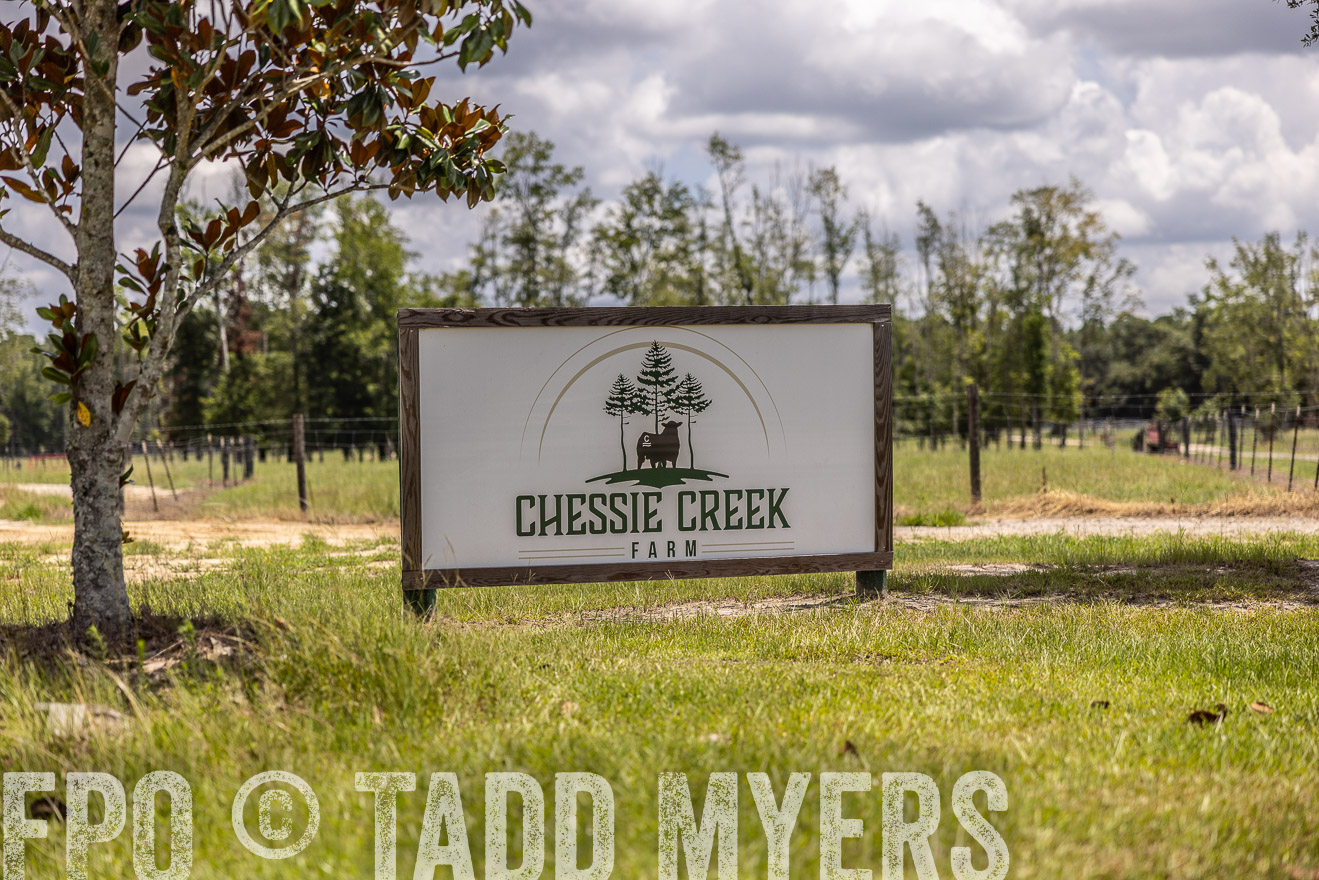 TMyers_PP_ChessieCreekFarm_Walterboro_July2024-513596