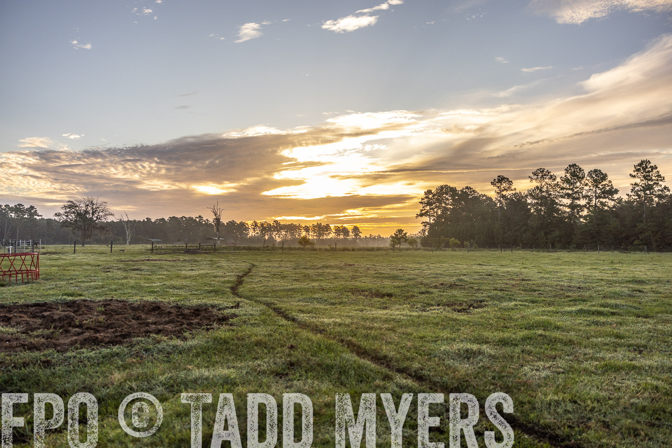 TMyers_PP_ChessieCreekFarm_Walterboro_July2024-519988