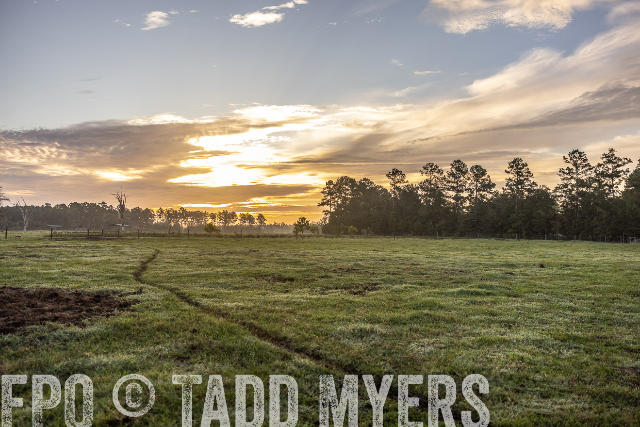 TMyers_PP_ChessieCreekFarm_Walterboro_July2024-519995