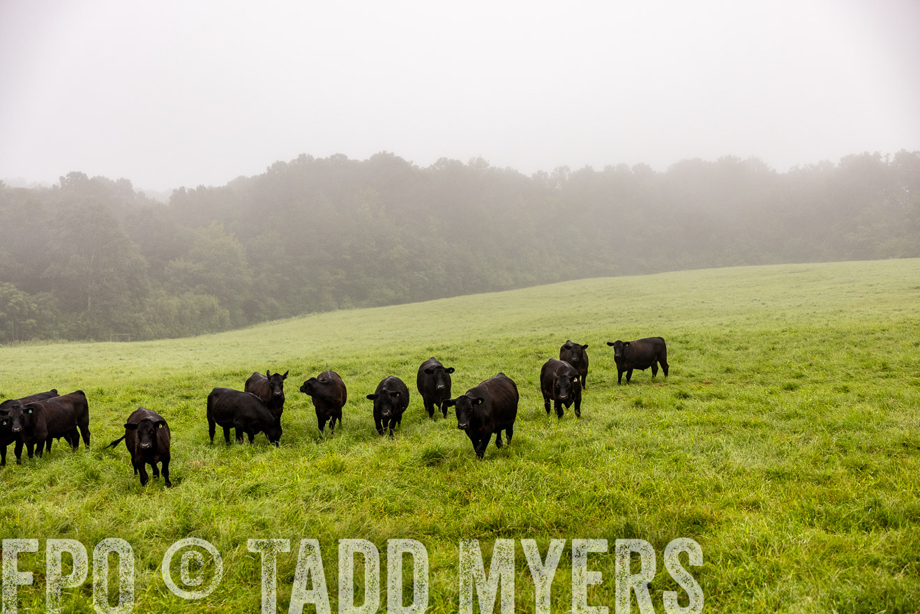 TMyers_PP_SleepyCreekFarm_Forsyth_July2024-514106