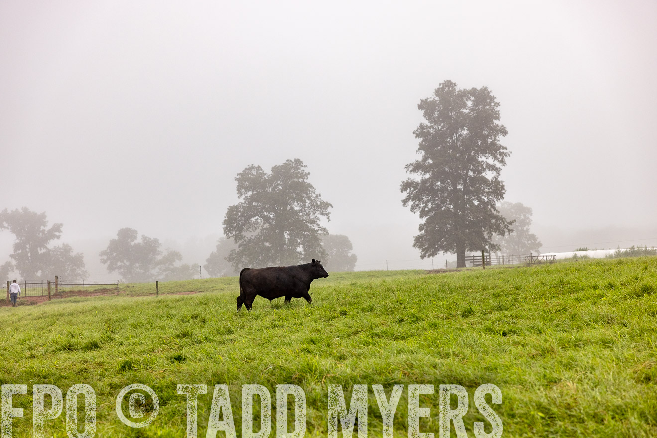 TMyers_PP_SleepyCreekFarm_Forsyth_July2024-514321