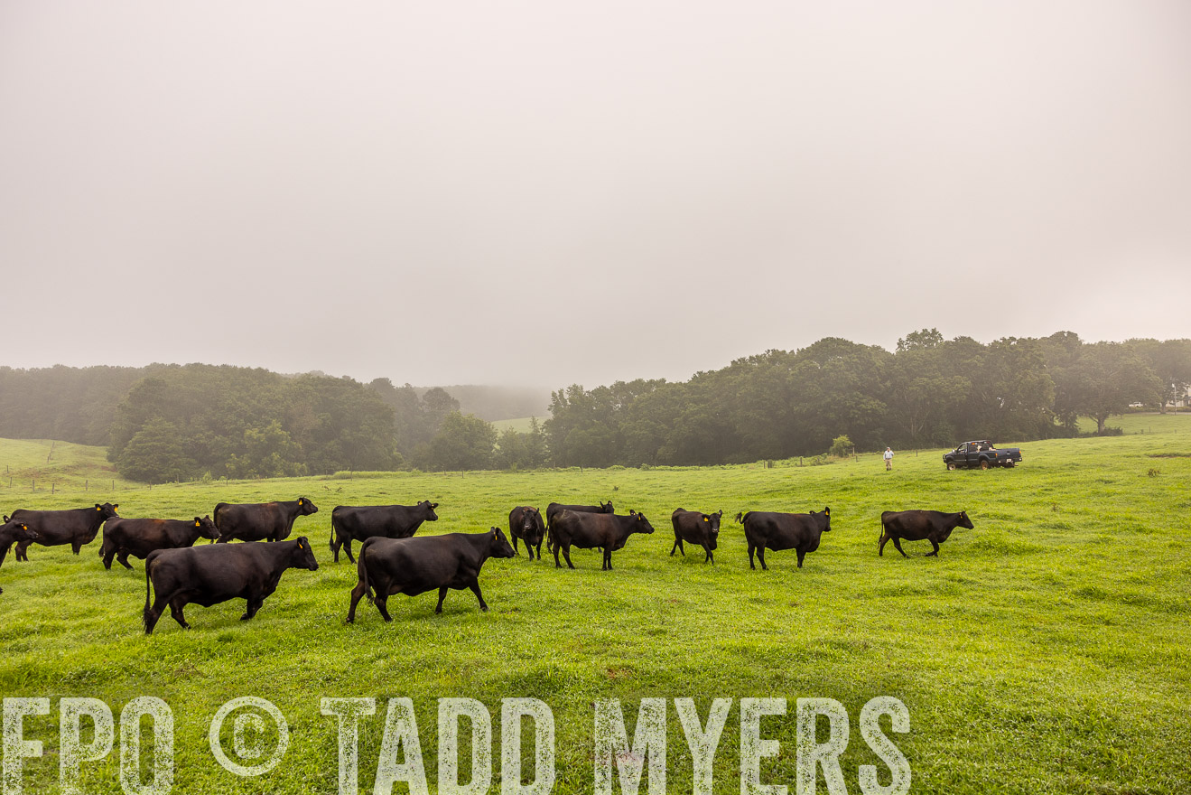 TMyers_PP_SleepyCreekFarm_Forsyth_July2024-515123