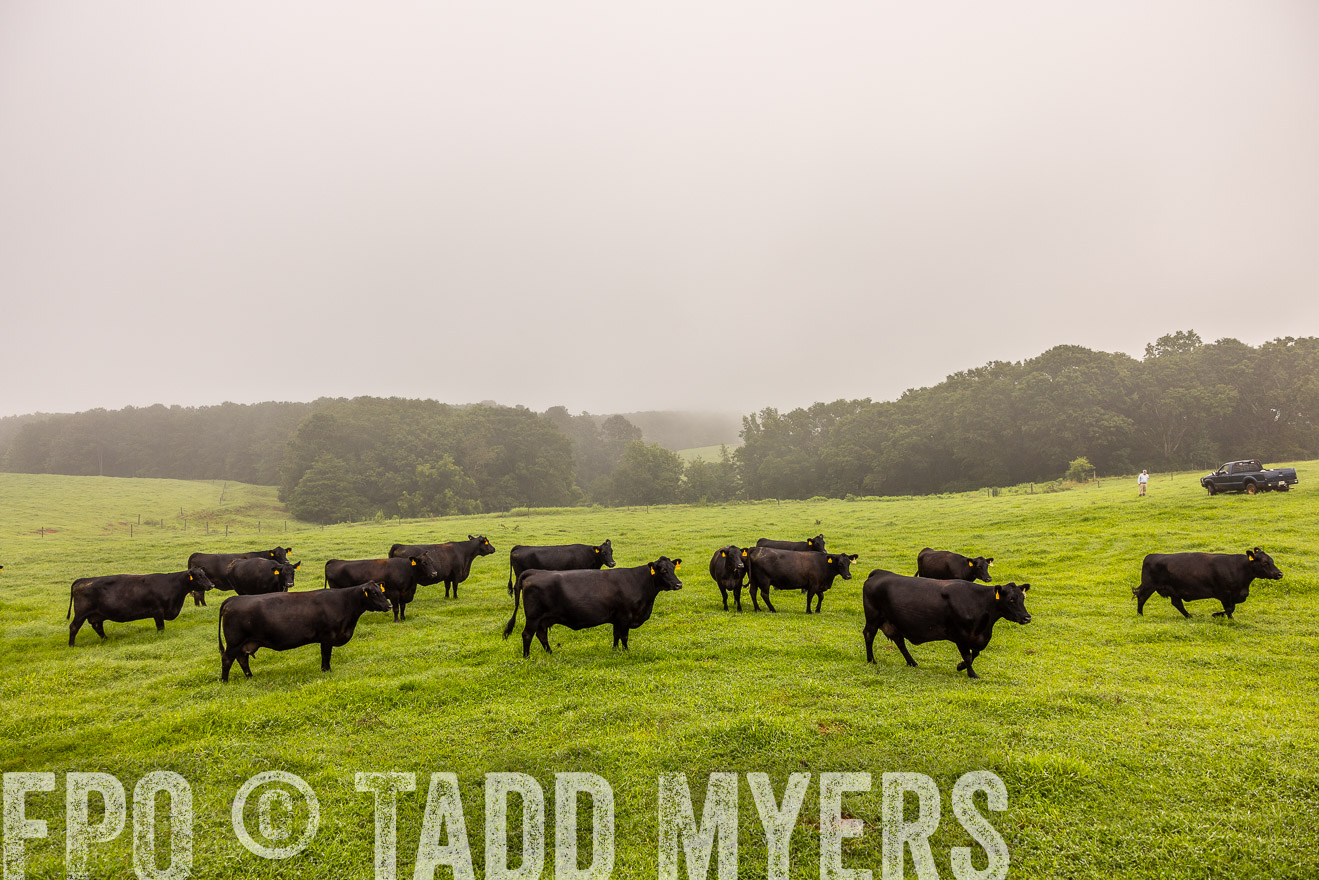 TMyers_PP_SleepyCreekFarm_Forsyth_July2024-515128