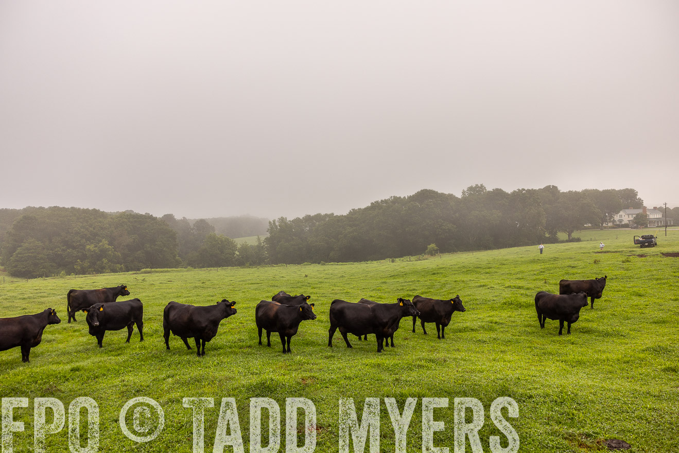 TMyers_PP_SleepyCreekFarm_Forsyth_July2024-515157