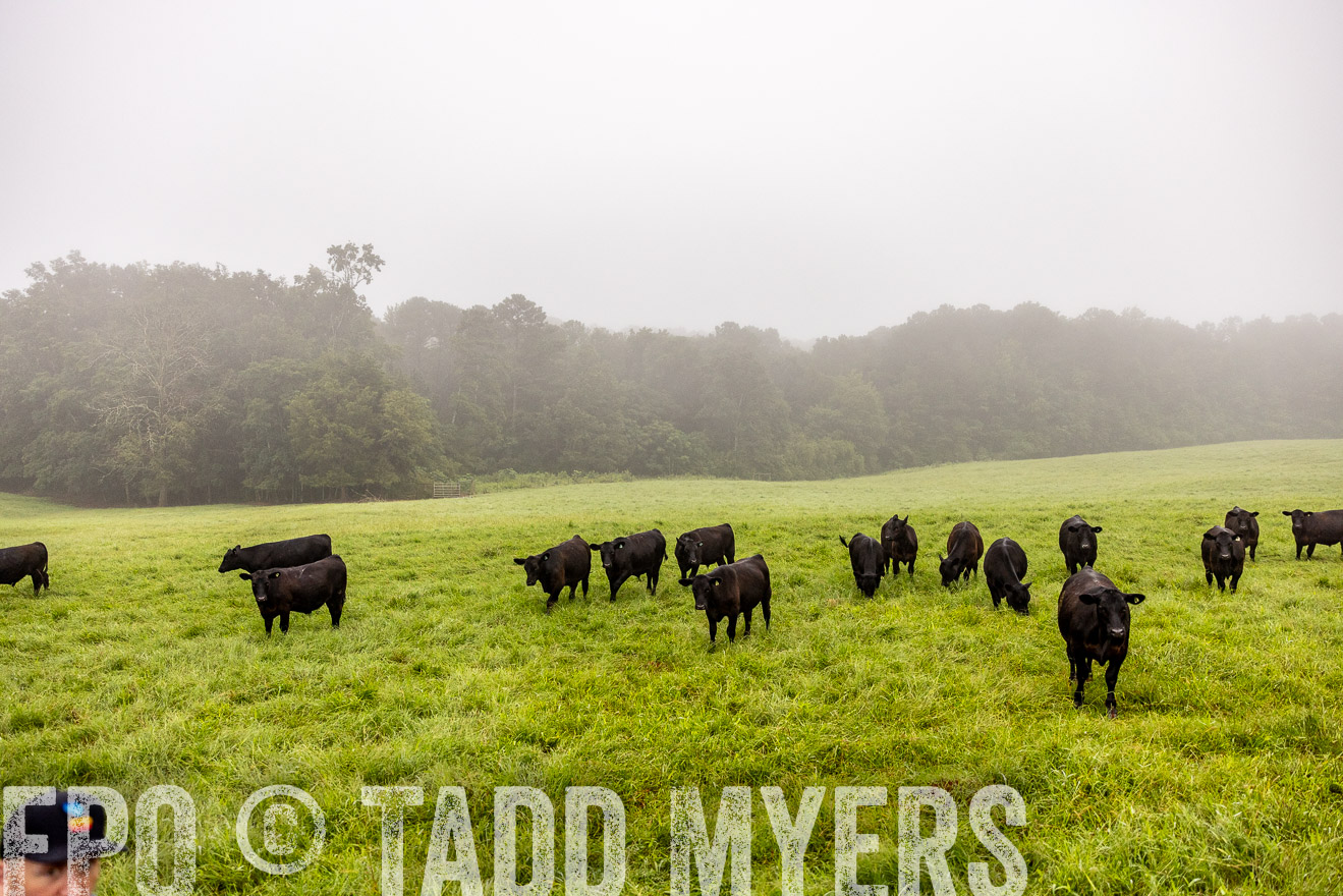 TMyers_PP_SleepyCreekFarm_Forsyth_July2024-514130